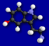 molcule de srotonine en 3D