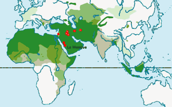 L’islamisation du monde
telle qu’elle se prsente actuellement (d’aprs
l’encyclopdie Larousse)
