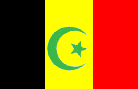 drapeau de la future rpublique islamique de beldjarabia, symbole islamique vert