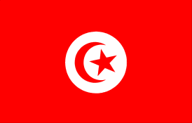 drapeau de pays islamique