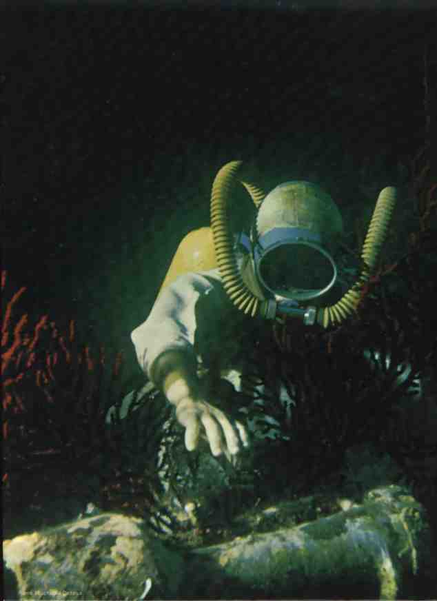 Encyclopdie Cousteau, tome 20, guide de la mer, index, verso