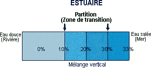 transition coranique