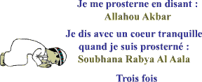 rituel de dmonstration de soumission par prosternation