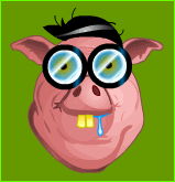 le webmaster